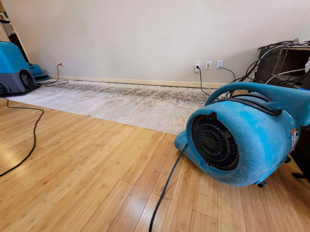 Professional Basement Flood Cleanup technician working in Reading, MN